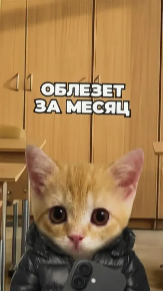 Обложка видео
