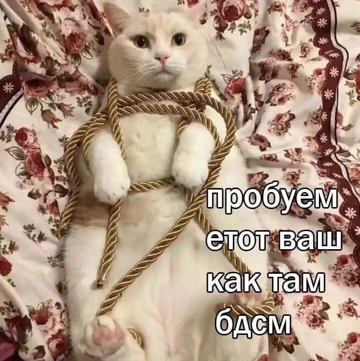 Фото из поста