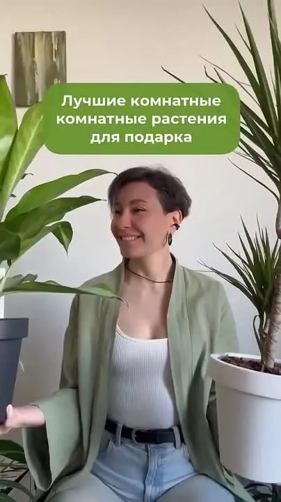Обложка видео