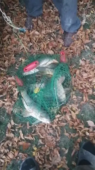 Обложка видео