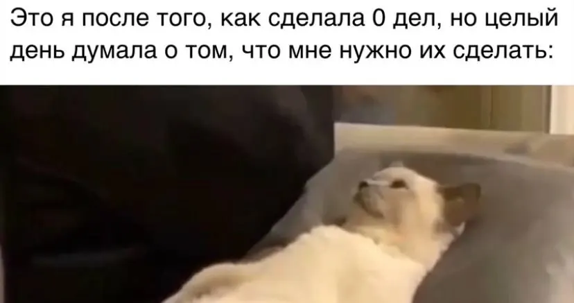 Фото из поста