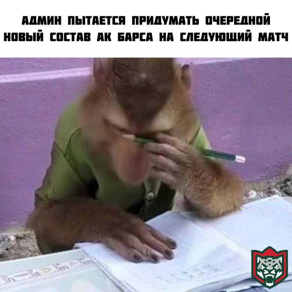 Фото из поста