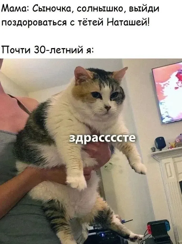 Фото из поста