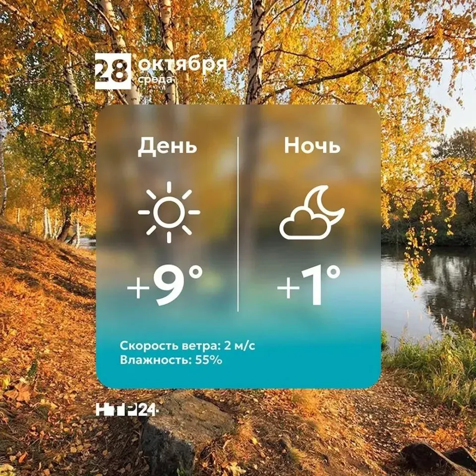 Фото из поста