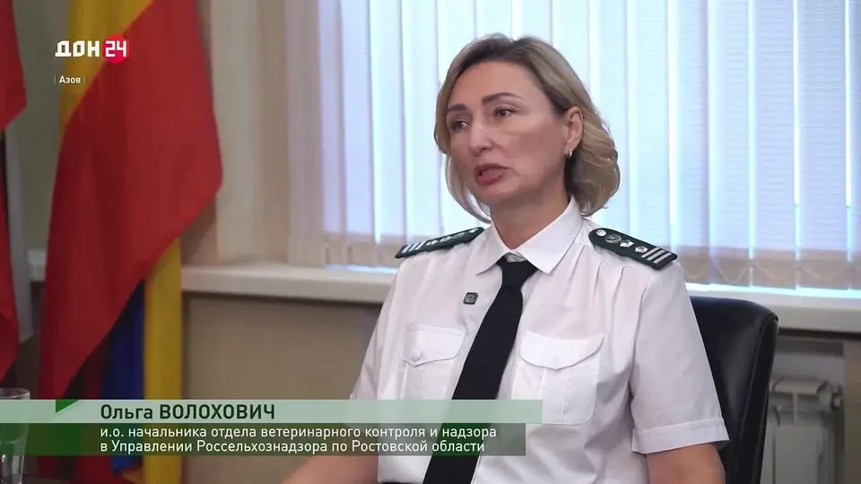 Обложка видео