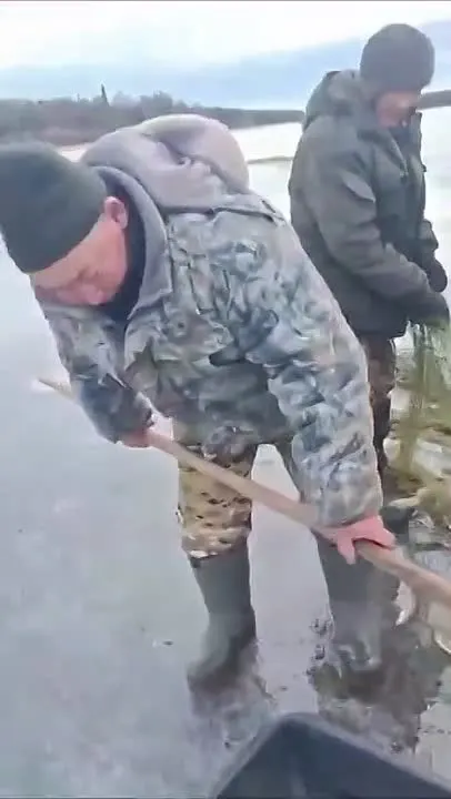 Обложка видео