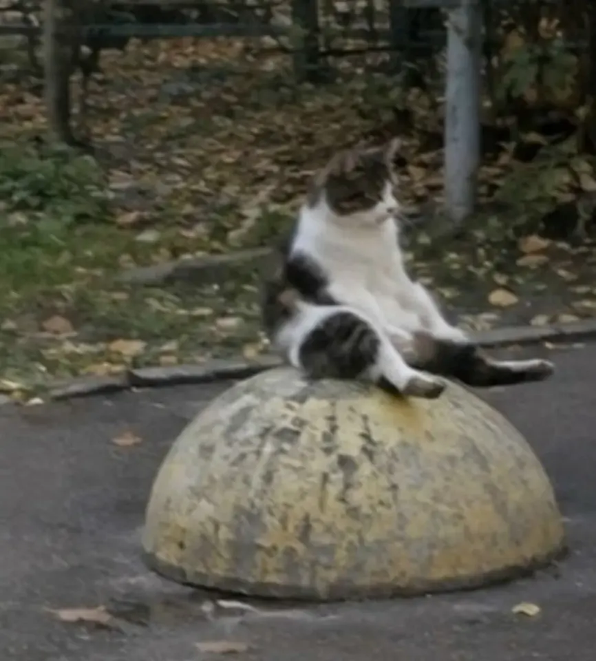 Фото из поста