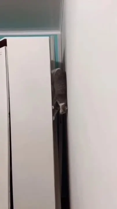 Обложка видео