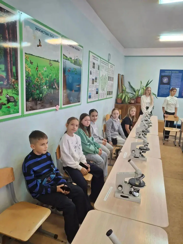 Фото из поста