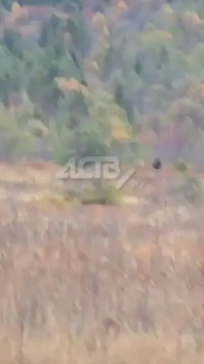 Обложка видео