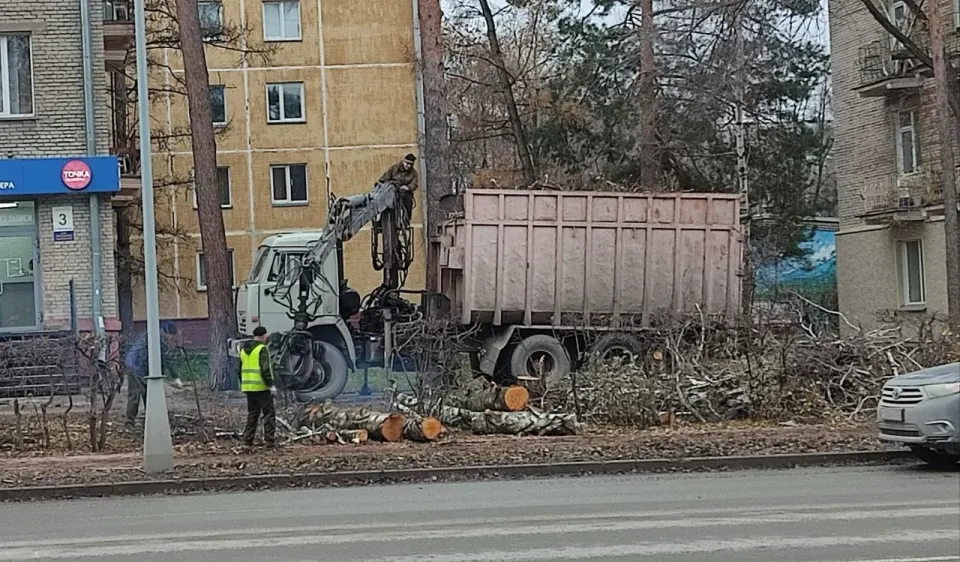 Фото из поста