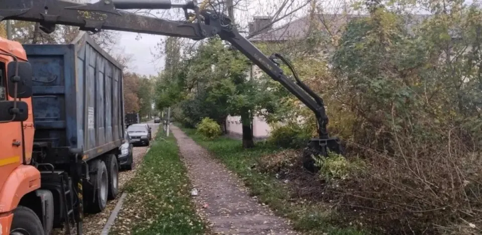 Фото из поста