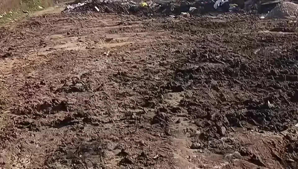 Обложка видео