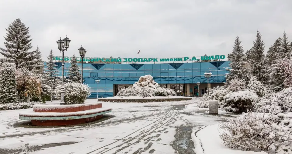 Фото из поста