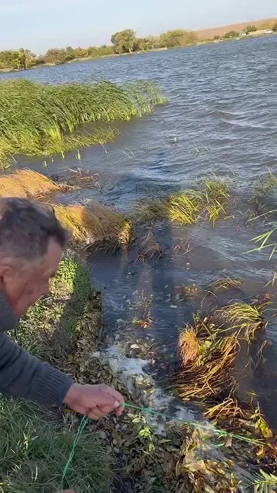 Обложка видео