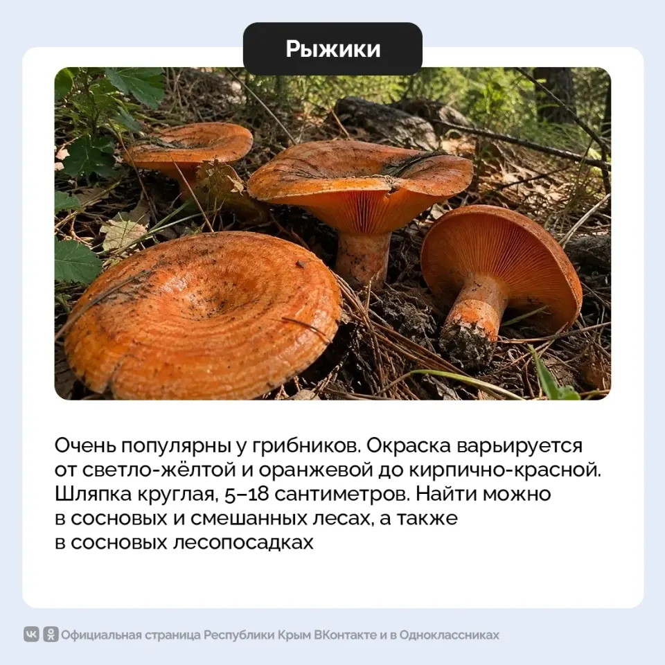Фото из поста