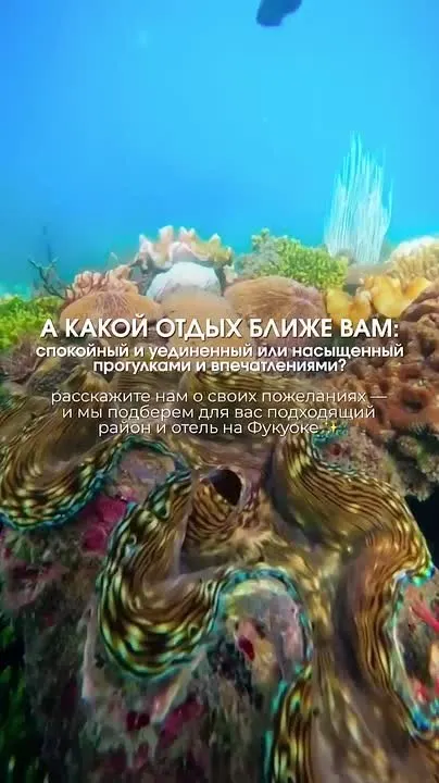 Обложка видео