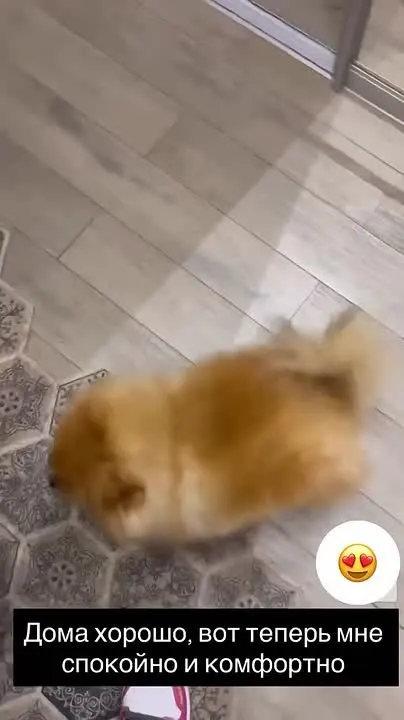 Обложка видео