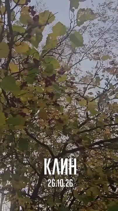 Обложка видео