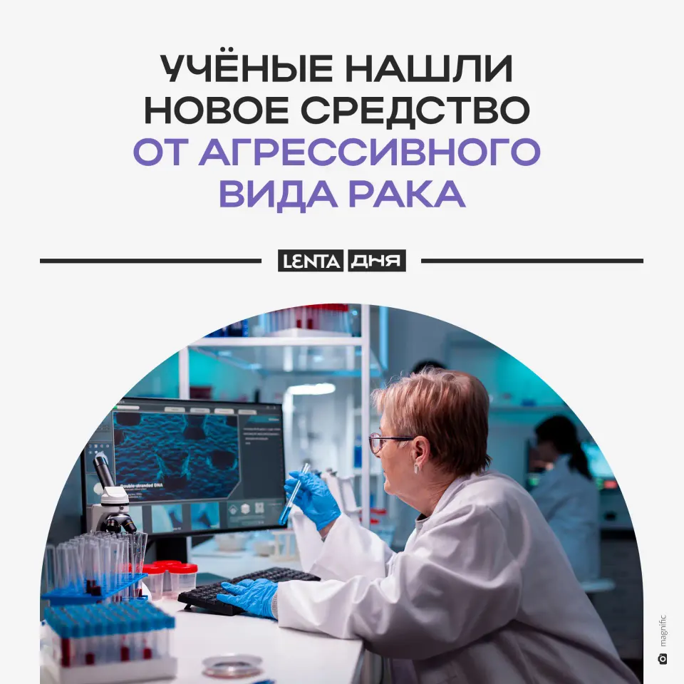 Фото из поста