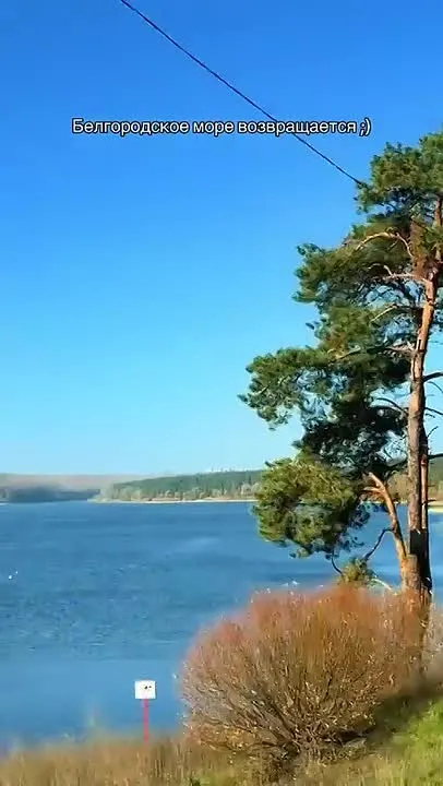 Обложка видео