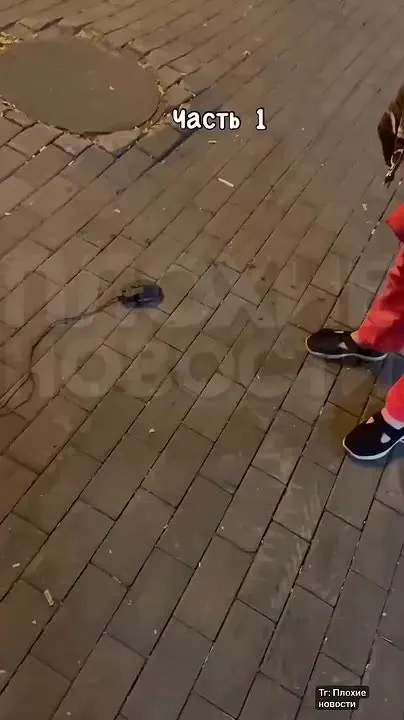 Обложка видео