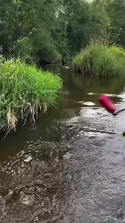Обложка видео