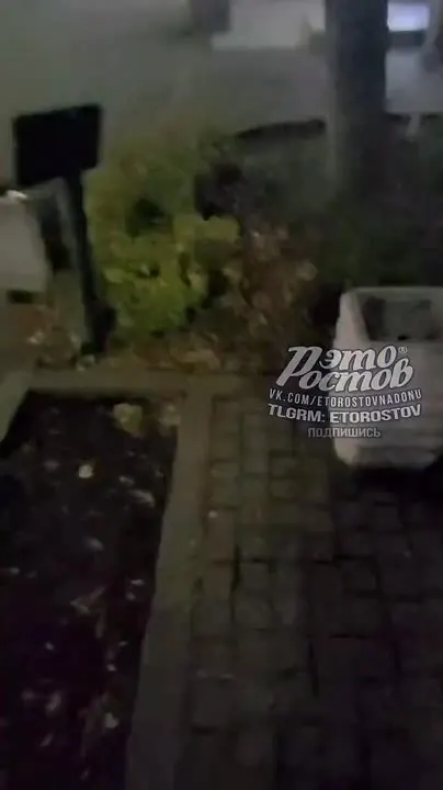 Обложка видео