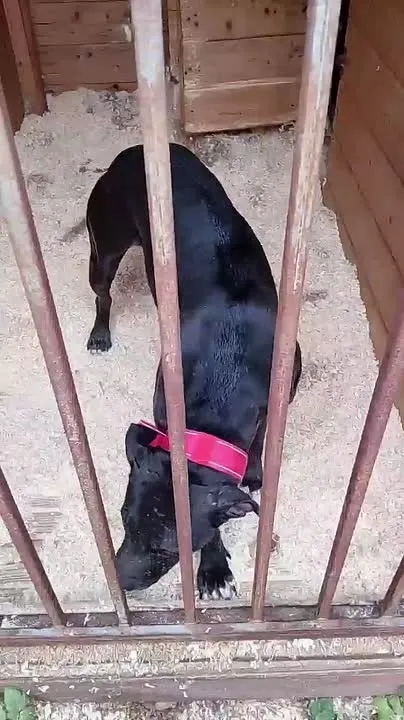 Обложка видео