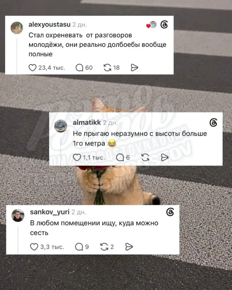 Фото из поста