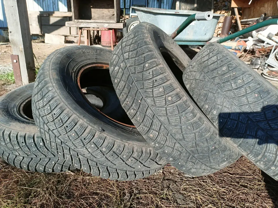 Фото из поста