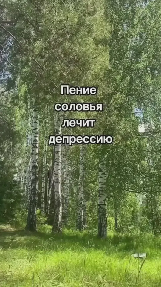Обложка видео