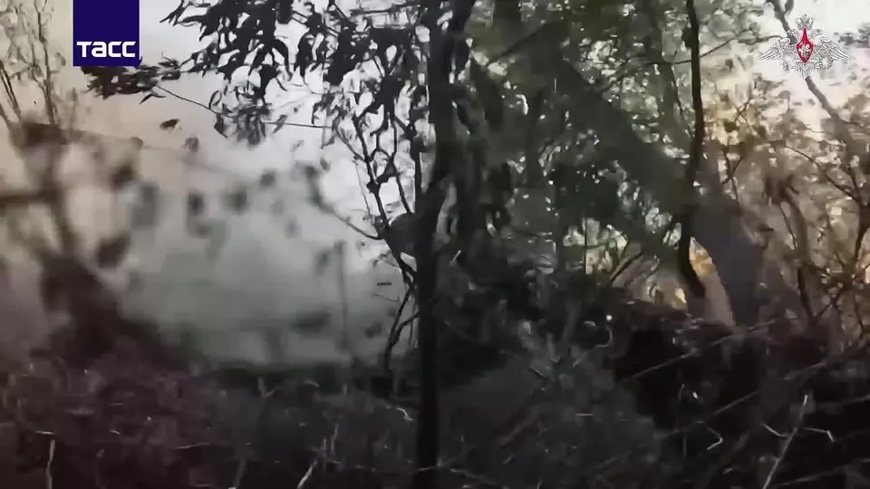 Обложка видео