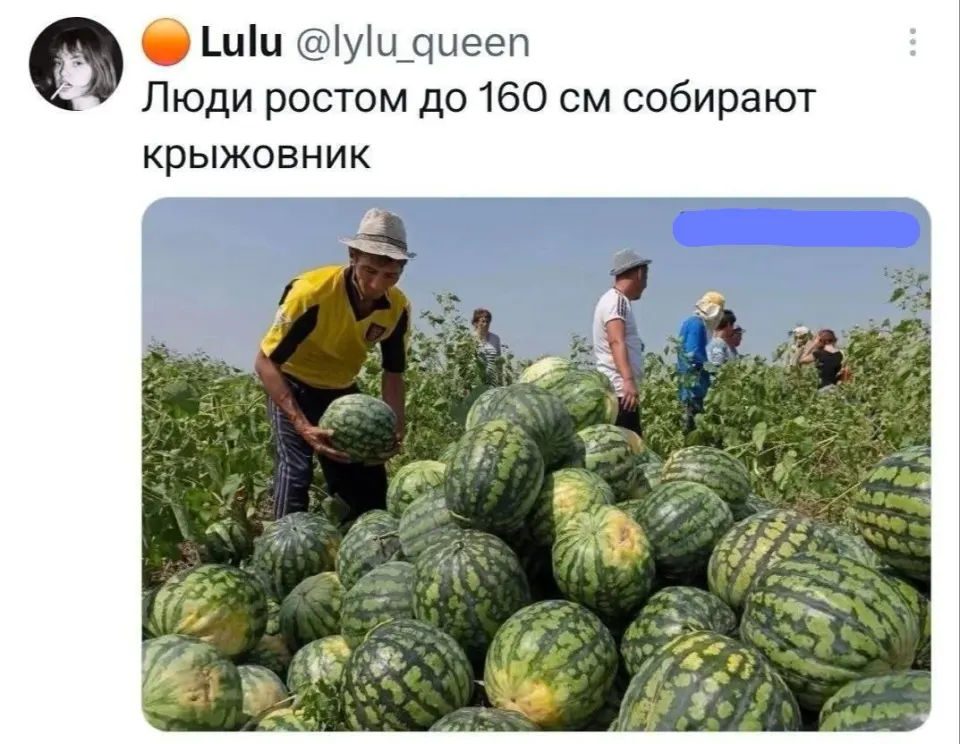 Фото из поста