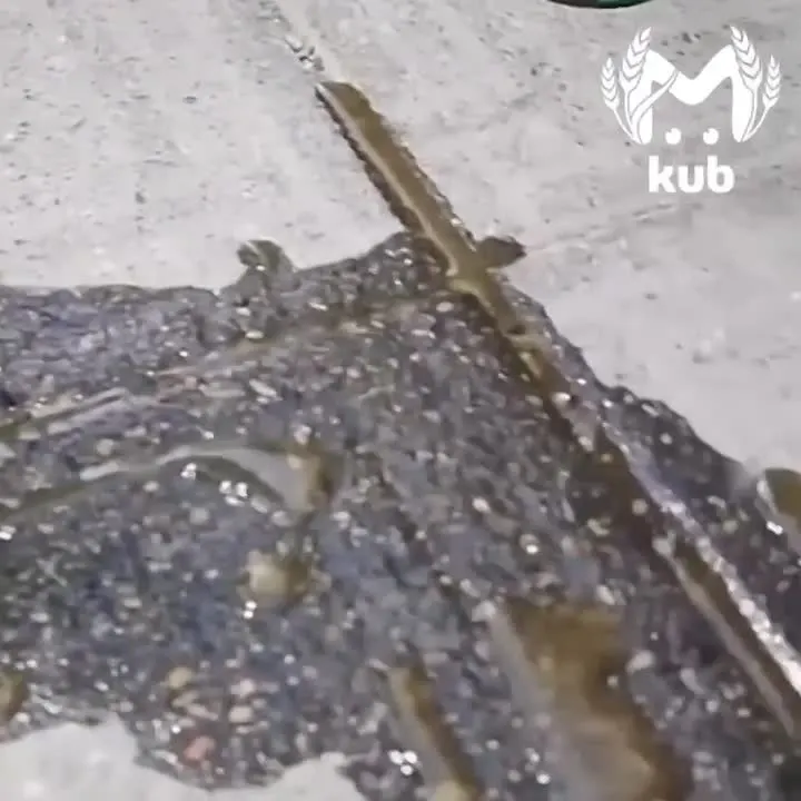 Обложка видео