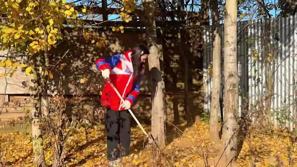 Обложка видео