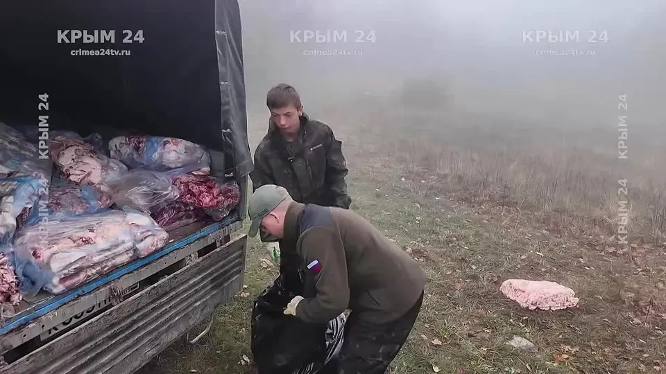 Обложка видео
