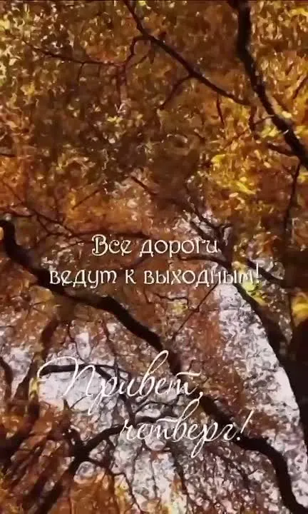 Обложка видео