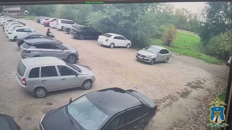 Обложка видео