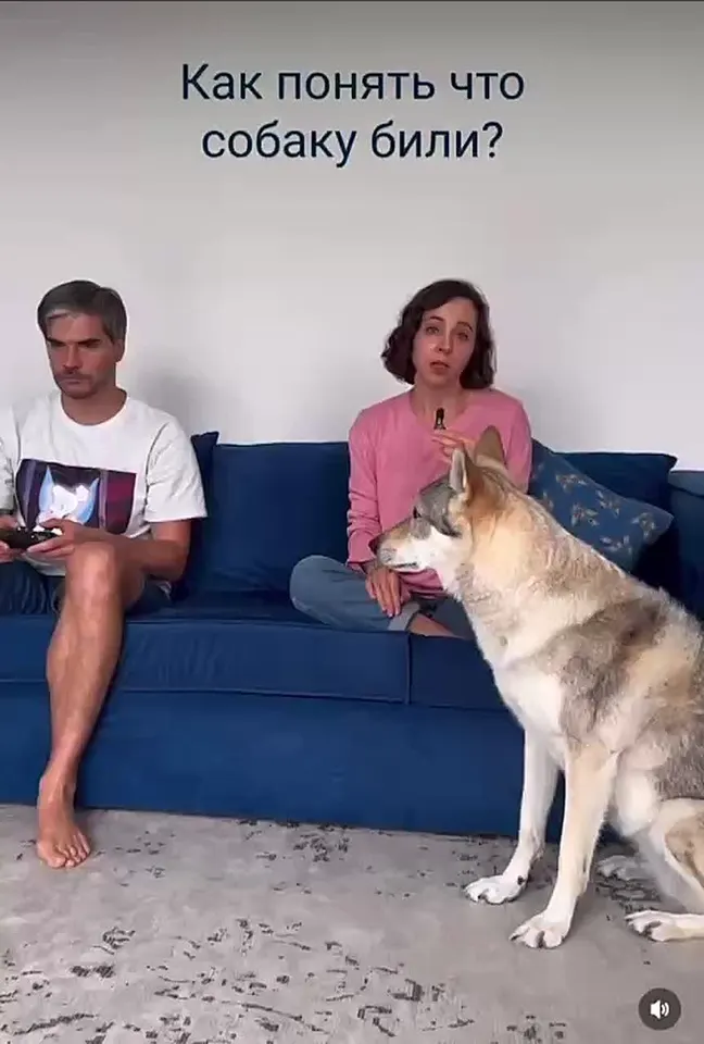 Обложка видео