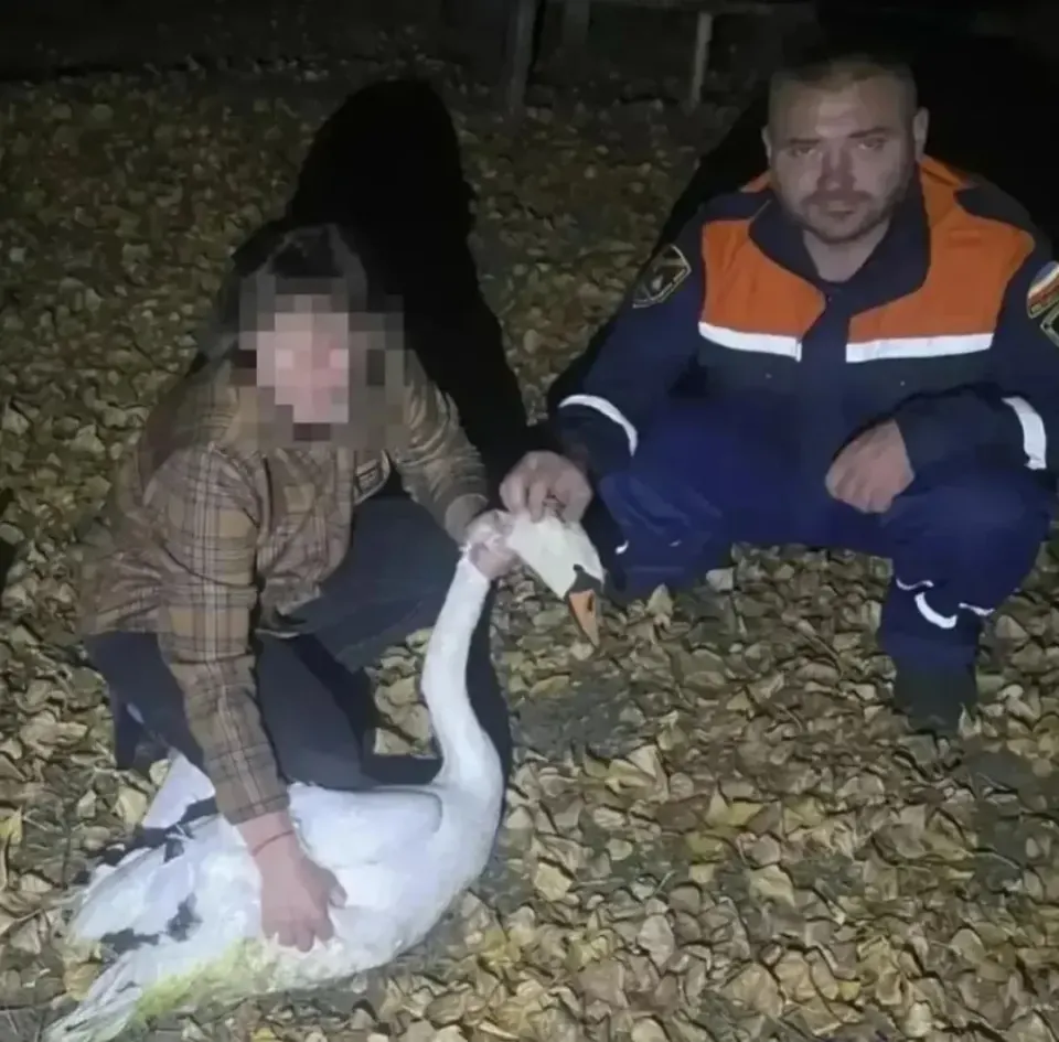 Фото из поста