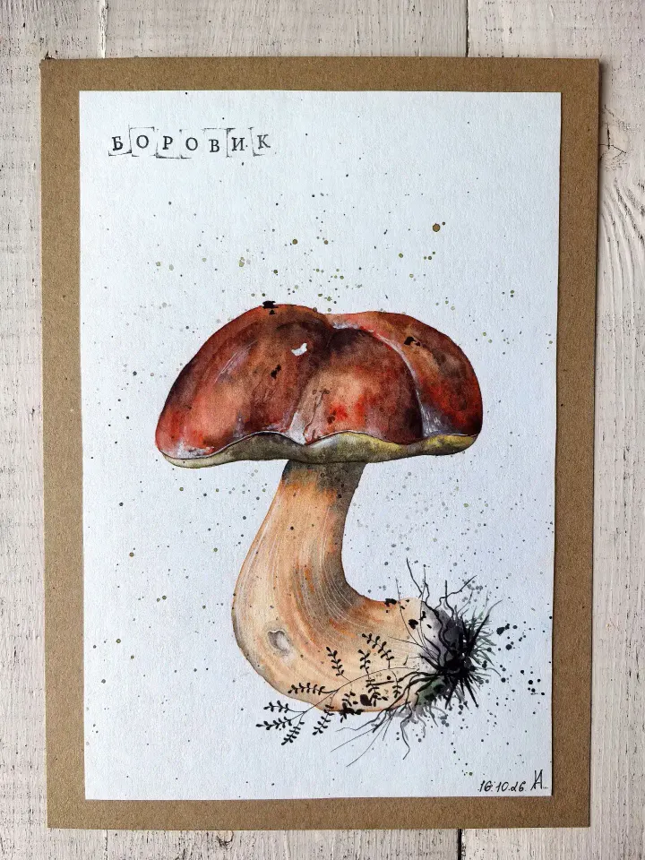 Фото из поста
