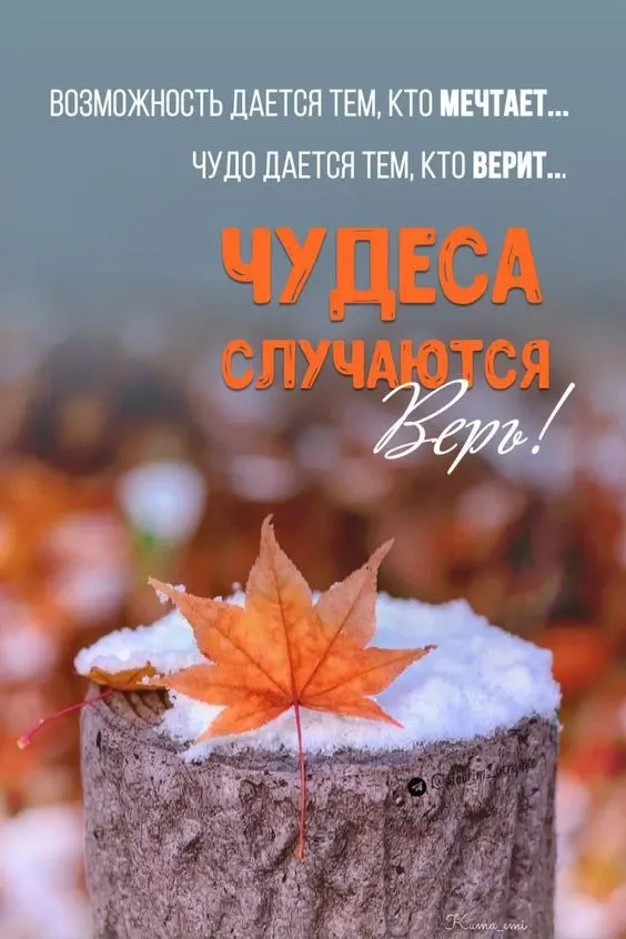 Фото из поста