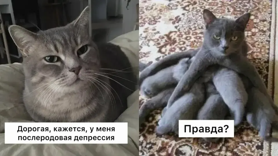 Фото из поста