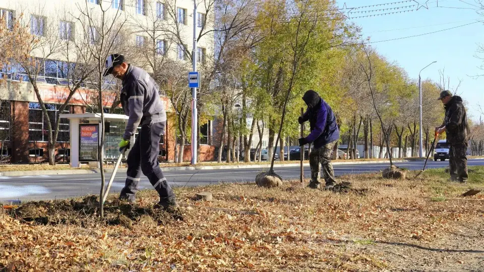 Фото из поста