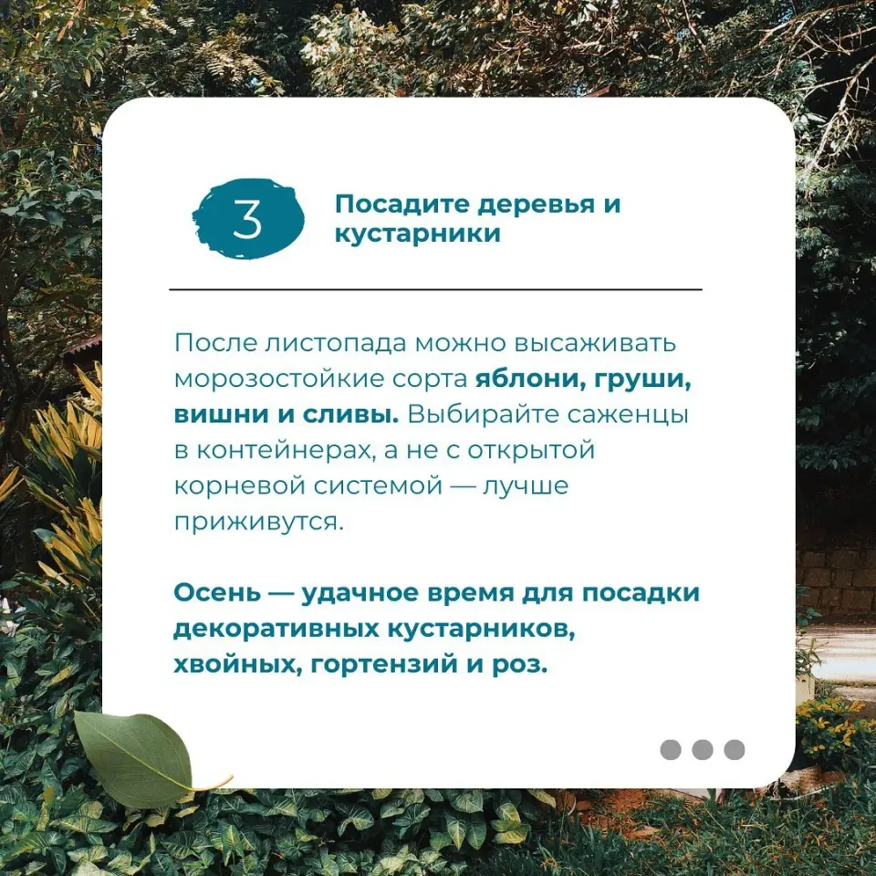 Фото из поста