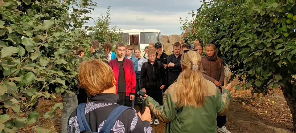 Фото из поста