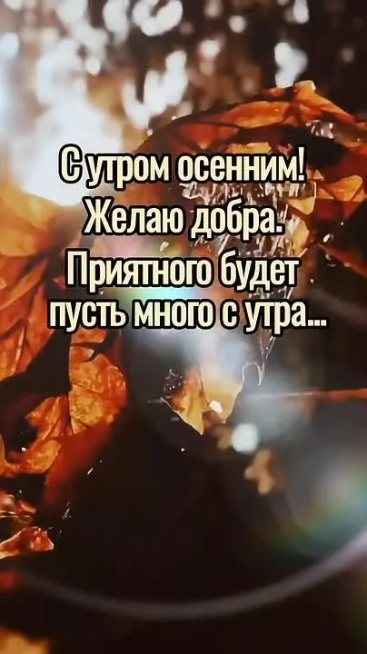 Обложка видео