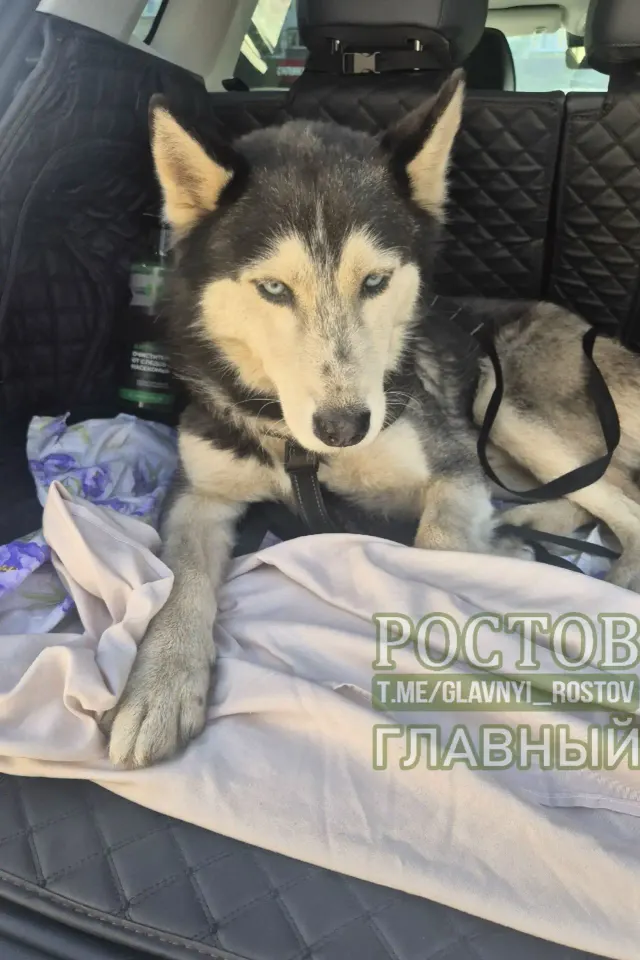 Фото из поста