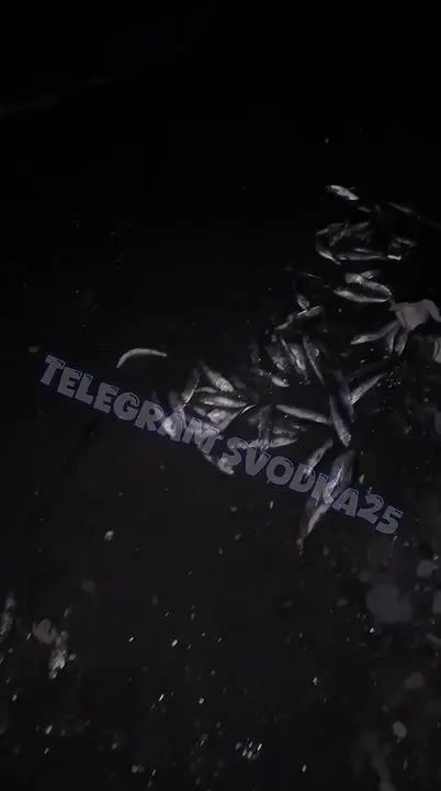 Обложка видео